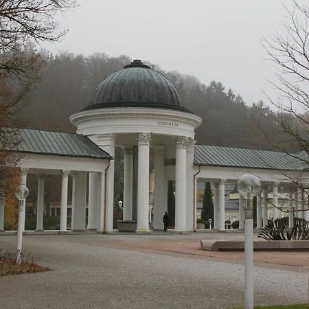 Apartman Karlovarska マリアーンスケー・ラーズニェ エクステリア 写真
