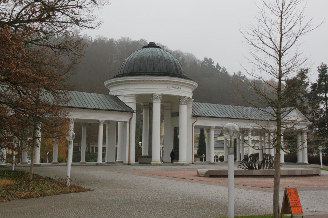 Apartman Karlovarska マリアーンスケー・ラーズニェ エクステリア 写真